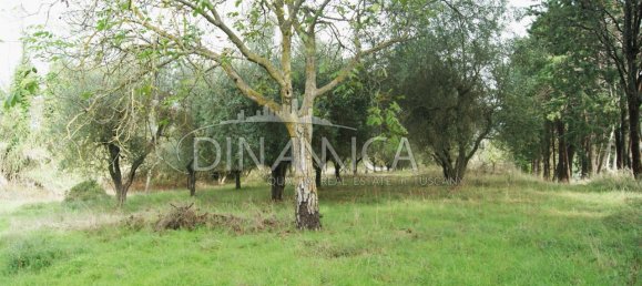 Casa de 4 divisões em Peccioli, Italy N.º 232271 20