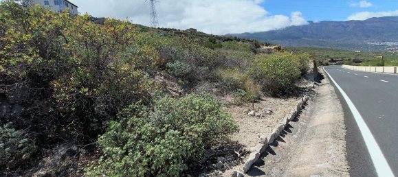 Land in Guimar, Spain No. 157778 11