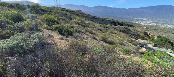 Land in Guimar, Spain No. 157778 8