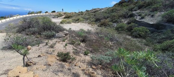 Land in Guimar, Spain No. 157778 3