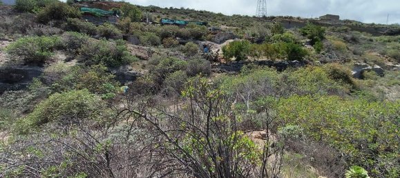 Land in Guimar, Spain No. 157778 9