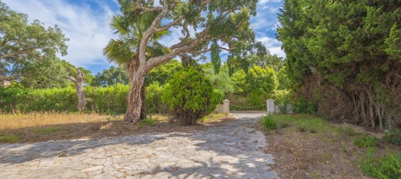 6 bedrooms House in San Roque, Spain No. 180957 6