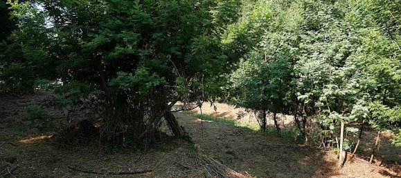 Casa de 2 habitaciónes en Apricale, Italy No. 302737 16