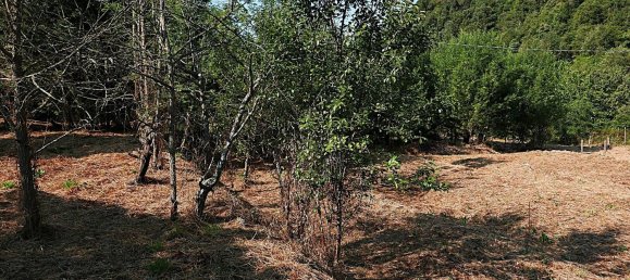 Casa de 2 habitaciónes en Apricale, Italy No. 302737 20