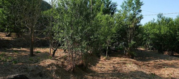 Casa de 2 habitaciónes en Apricale, Italy No. 302737 11