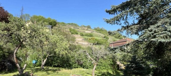 5 bedrooms Villa in Radebeul, Germany No. 84649 13