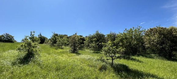 Casa de 6 dormitorios en Saint-Vincent-de-Barres, France No. 191075 5