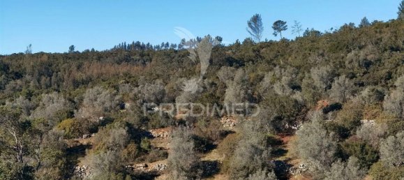 Земельный участок 52600м² в Alcanede, Португалия № 63871 26