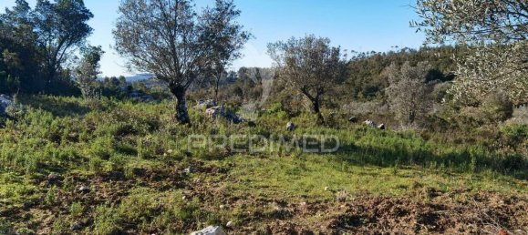 Земельный участок 52600м² в Alcanede, Португалия № 63871 16