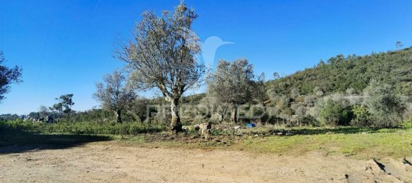 Земельный участок 52600м² в Alcanede, Португалия № 63871 22