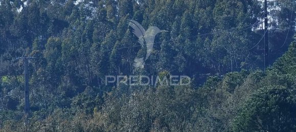 Земельный участок 52600м² в Alcanede, Португалия № 63871 28