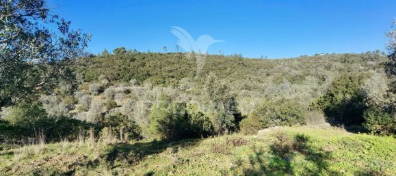 Земельный участок 52600м² в Alcanede, Португалия № 63871 17