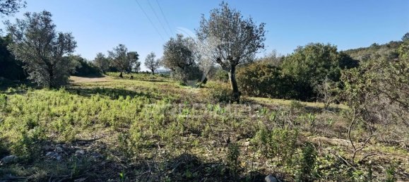 Земельный участок 52600м² в Alcanede, Португалия № 63871 29