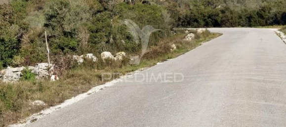 Земельный участок 52600м² в Alcanede, Португалия № 63871 7