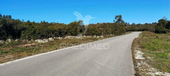 Земельный участок 52600м² в Alcanede, Португалия № 63871 8