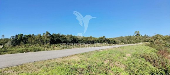 Земельный участок 52600м² в Alcanede, Португалия № 63871 11