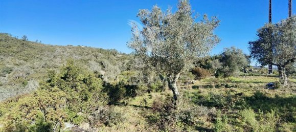 Земельный участок 52600м² в Alcanede, Португалия № 63871 19