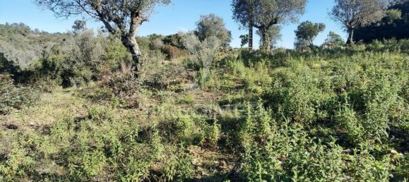 Земельный участок 52600м² в Alcanede, Португалия № 63871 21
