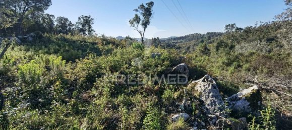 Земельный участок 52600м² в Alcanede, Португалия № 63871 20