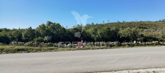Земельный участок 52600м² в Alcanede, Португалия № 63871 3
