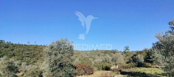 Земельный участок 52600м² в Alcanede, Португалия № 63871 23