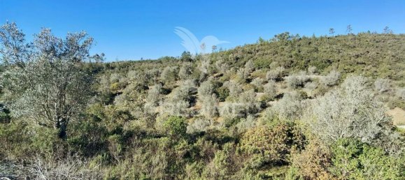 Земельный участок 52600м² в Alcanede, Португалия № 63871 18