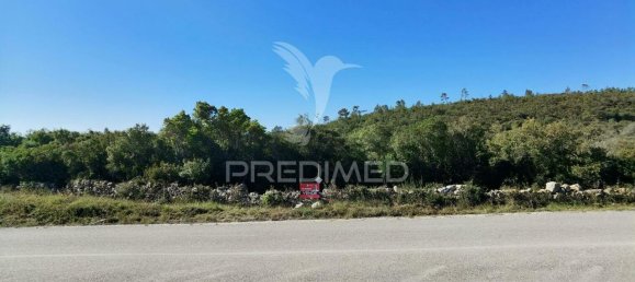 Земельный участок 52600м² в Alcanede, Португалия № 63871 4