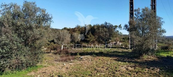 Земельный участок 52600м² в Alcanede, Португалия № 63871 15