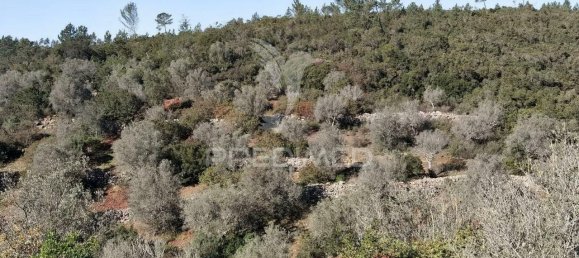 Земельный участок 52600м² в Alcanede, Португалия № 63871 14