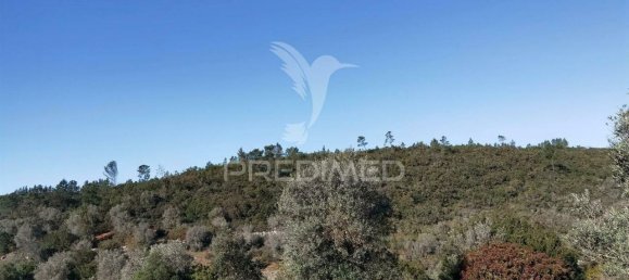 Земельный участок 52600м² в Alcanede, Португалия № 63871 24