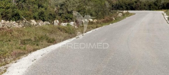 Земельный участок 52600м² в Alcanede, Португалия № 63871 10