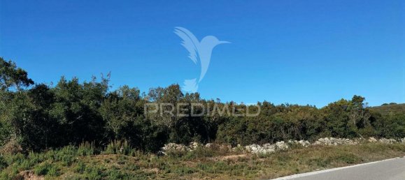 Земельный участок 52600м² в Alcanede, Португалия № 63871 12