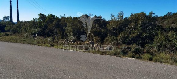 Земельный участок 52600м² в Alcanede, Португалия № 63871 13