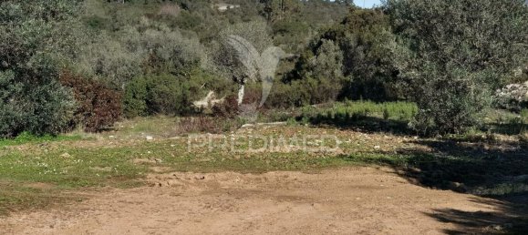 Земельный участок 52600м² в Alcanede, Португалия № 63871 27