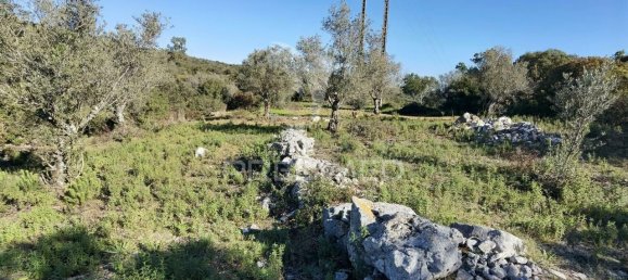 Земельный участок 52600м² в Alcanede, Португалия № 63871 30