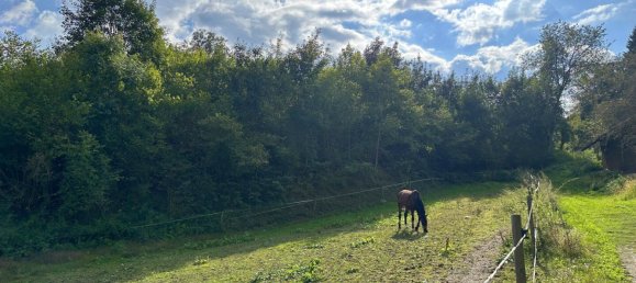  Land in Krumpendorf am Worthersee, Austria No. 126920 2