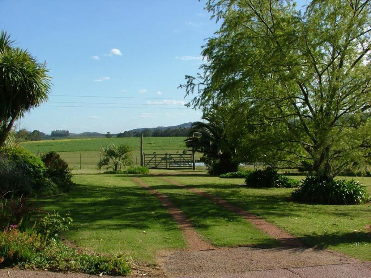 Bauernhof in Maldonado, Uruguay 200m², Nr. 14542