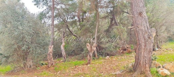 Villa 2+1 in Bodrum, Turkey No. 28756 3