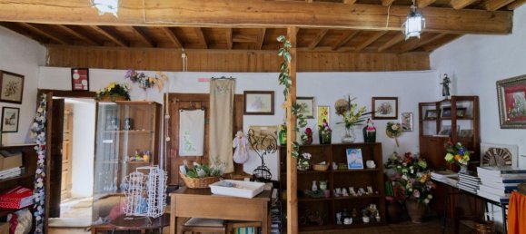 4 غرف نوم منزل في Idanha a Nova, Portugal رقم 256038 4