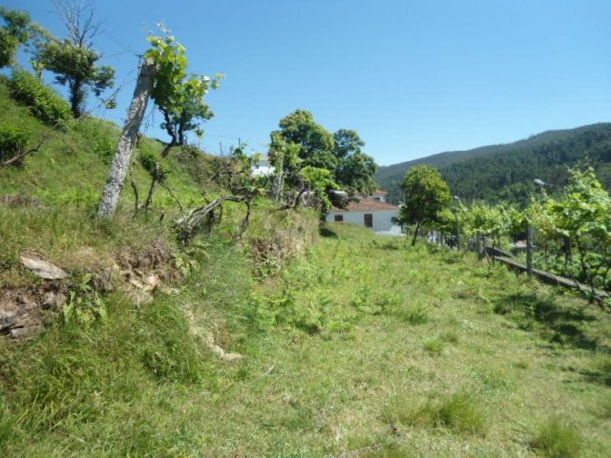 Land in Nespereira, Portugal No. 72407