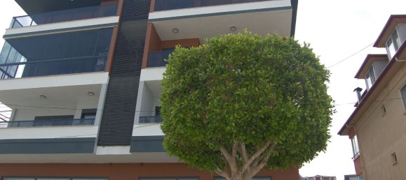 Apartment 1+1 in Kestel, Turkey No. 31617 3