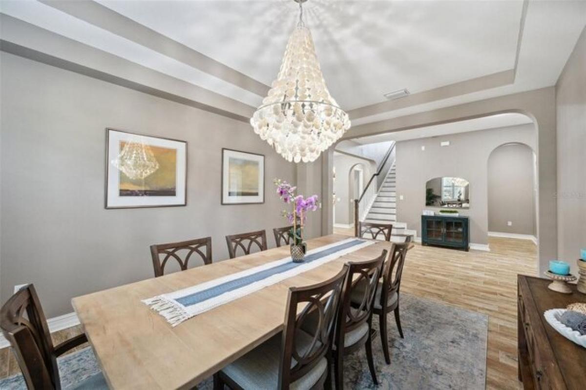 4 bedrooms House in Wesley Chapel, USA No. 400490