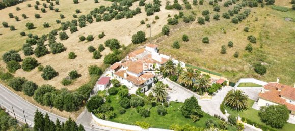 Casa de 9 dormitorios en Torres Novas, Portugal No. 49916 3