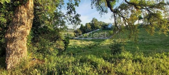 2364m² Land in Coimbra, Portugal No. 171612 6