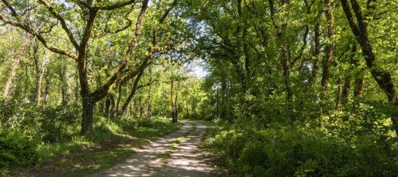 Casa T5 em Charente, France N.º 343851 2