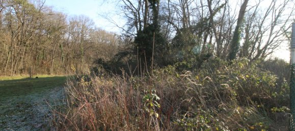 Grundstück in Les Montils, France, Nr. 61462 3