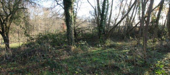 Grundstück in Les Montils, France, Nr. 61462 4