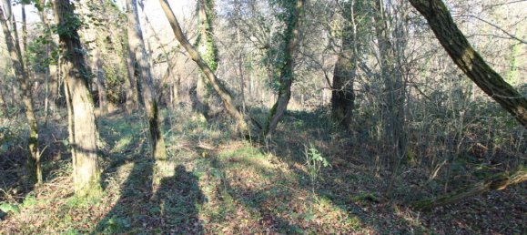 Grundstück in Les Montils, France, Nr. 61462 5