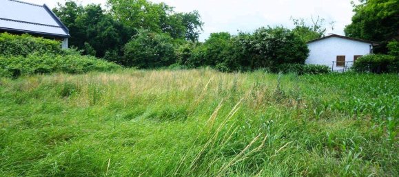  قطعة أرض في Traismauer, Austria رقم 242905 3