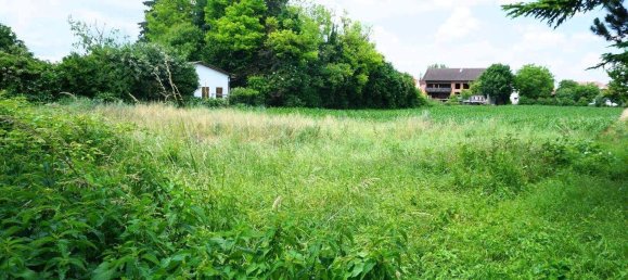  قطعة أرض في Traismauer, Austria رقم 242905 2